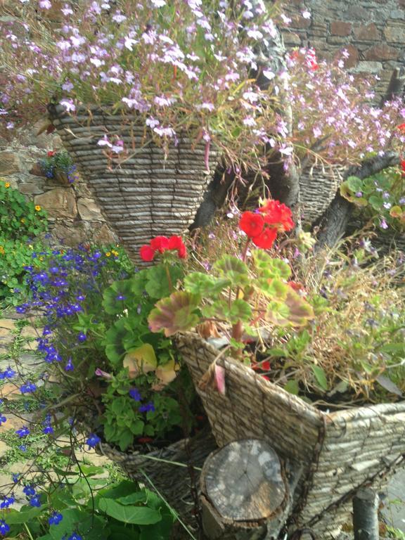 Belstane House Bed and Breakfast Cellardyke Εξωτερικό φωτογραφία